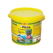 Jbl Novo Pleco 50 G Açık