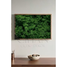 Cihan Çiçekçilik Koyu Yeşil Şoklanmış Norveç Moss Ren Geyiği Yosunu 500 Gr Haki
