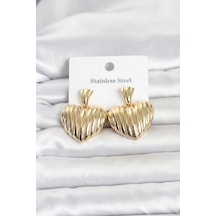 316l Çelik Gold Renk Kalp Model Kadın Küpe çok renkli 79161094