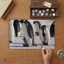 Anneler Ve Yavru Penguenler Tasarımı 240 Parça Ahşap Puzzle Ahşap Kutuda Mpy50400