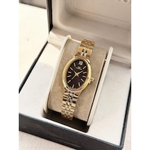 Ferro Fm88732a-b2 Quartz Çelik Altın Rengi Siyah Kadran 23 Mm Kadın Kol Saati