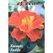 Karagöz Çiçeği Tohumu 1 Paket - 4 Saksı+torf Hediye