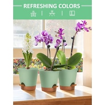 Ulzyvf Yeşil Sulama Saksıları, Paket Otomatik Kapalı İnç İçin Bitkiler 6.5 Vi