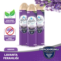 Glade Aerosol Oda Kokusu Lavanta 3'lü Set