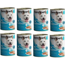 Bestpet Somon Balıklı Konserve Yetişkin Köpek Maması 12 x 400 G