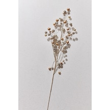 Pasabahce Twinkle Spray 83 Cm - 1 Adet Cok Renkli