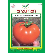 Domates Tohumu Arzuman Falcon