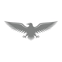 Kartal Sticker17x17 Cm Gri