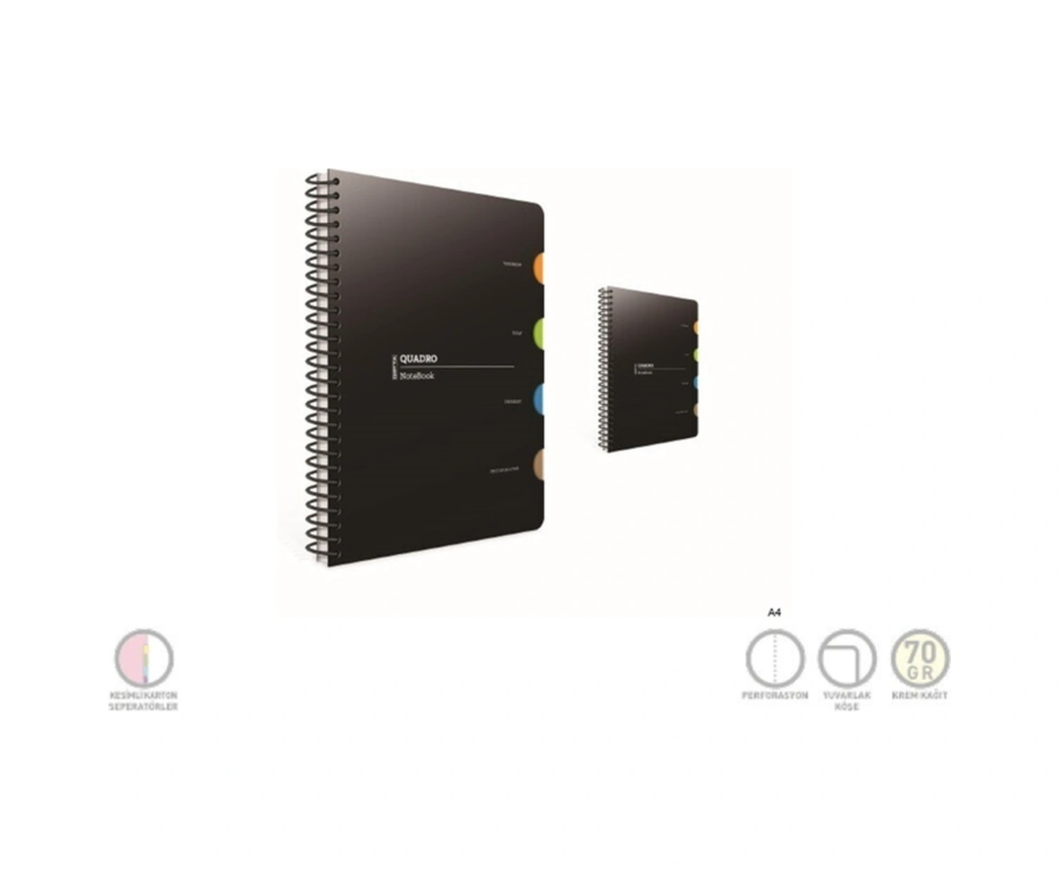 Quadro Spiralli 4 Seperatörlü Plastik Kapak Defter A4 150 Yaprak Çizgili 2 Li Paket 5548