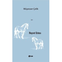 Hayret Ustası / Müyesser Çelik