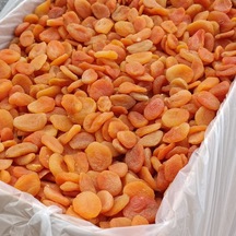 10 KG