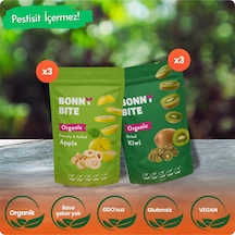 Organik Çıtır Elma & Kurutulmuş Kivi 6'lı Paketi Diğer