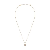 Daniel Wellington Dw00400640 Kadın Kolye Diğer