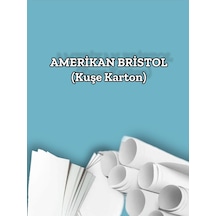 Amerikan Brsitol 30 X 45 100 Adet 3,375 Kg