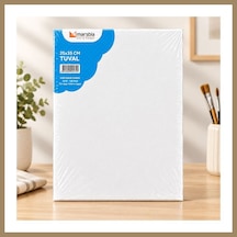 Bezos 25x35 Tuval 22 Çok Renkli