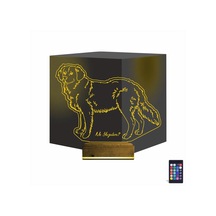Luvivia Köpek Golden Kişiye Özel 3d Lamba - Masa Gece Lambası Şeffaf