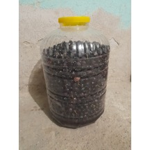Müşküleli Mehmet Gemlik Sofralık Zeytin 14 KG