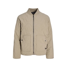 Jack & Jones Erkek Beyzbol Yaka Uzun Kollu Puffer Mont - Axel - 12298748 Winter Twig