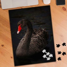 Kırmızı Gagalı Ördek 240 Parça Puzzle Yapboz-122983