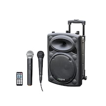 Taşınabilir Hoparlör, 10 Inç, 500w Güç, Bluetooth Ve Usb İle