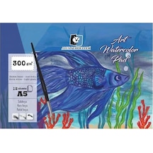Alex Schoeller Art Spiralli Sulu Boya Defteri A5 300 G Alx-394