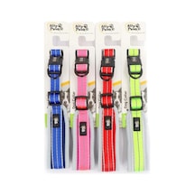 Ally Paws Dog Collar Medium 2cmx35-50cm Asortili Çok Renkli