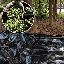 5x8 Metre Zeytin Sergeni Zeytin Toplama Örtüsü Fındık Fıstık Dut Toplama Filesi Hasat Taban Örtüsü