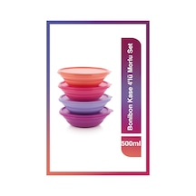 Tupperware Bonibon Kase 4'lü Morlu Set 500 ml