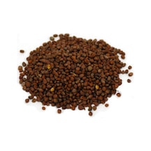 Sanita Turp Tohumu Kırmızı 250 GR