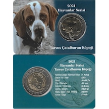 2021 Hayvanlar Serisi Tarsus Çatalburun Köpeği 1 Kuruş Bimetal Özel Kitinde Çil