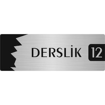 Metal Departman Kapı İsimliği, Yönlendirme Levhası Derslik 12 10x20 Cm Gümüş Renk
