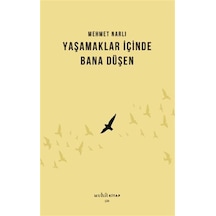 Yaşamaklar İçinde Bana Düşen / Mehmet Narlı