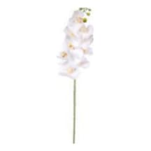 Yapay Islak Dokulu Sütleğen Çiçek Su Yeşili 77 Cm. Çok Renkli