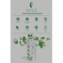 Yeşil Nane Aromalı Sakız 20g