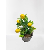 Dekoratif Yapay Limon Ağacı Saksılı Çok Renkli