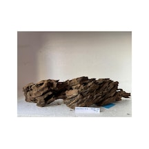 Dragon Wood No:dr08-402 44x15x11h
