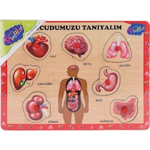 Ony-287 288 Ahşap Tutmalı Vücumuzu Tanıyalım -eco Lounge