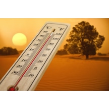 Ahşap Oda Sıcaklığı Sıcaklık Ölçümü Termometresi Küçük Boy