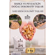 Doğal Premium Sarı Krem Dolomit Taşı 5 Kg 1-2 Cm Yuvarlak Dekoratif Bahçe Taşı