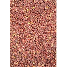 Sumak Tane 500 Gr Aktar Depo