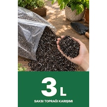 3 L