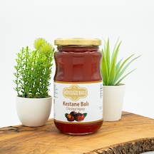Köyceğiz Balı Kestane Balı Cam Kavanoz 450 G