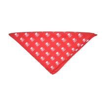 Bandana Kurukafa Desenli Kırmızı Çok Renkli