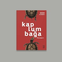 Kaplumbağa Ajandası 2024 Çok Renkli