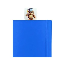 Mezun Baykuş Kitap Ayracı