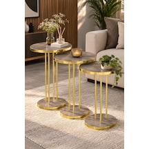 Sulorahome 3'lü Yuvarlak Zigon Sehpa Takımı Çam Kahverengi Ve Gold Metal Ayaklı Altın - Kahverengi