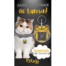 Petjoo 5.Jane Martinke Sarı-Gri Qr'lı Kedi Künyesi