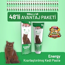 Kısırlaştırılmış Kedi Paste 100 G - 48 Adet