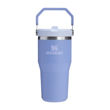 Akışı Go 600ml 20oz Flip Straw Wtr Btl Pomelo Çok Renkli