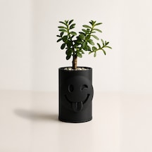 3d Baskı Emoji Planter - Göz Kırpan Yüzlü Sukulent Saksısı-siyah